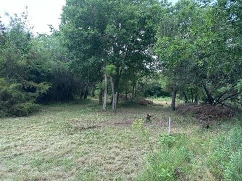 White Bluff #38 - Land