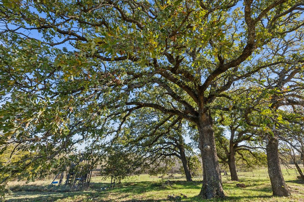 F Trevino - Residential