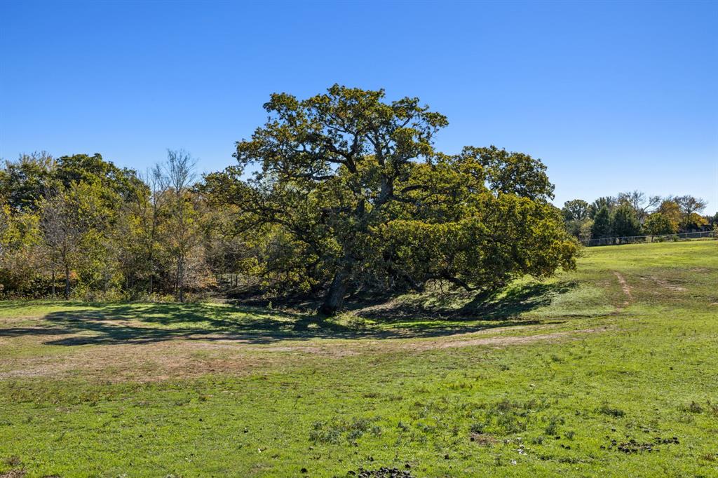 F Trevino - Residential