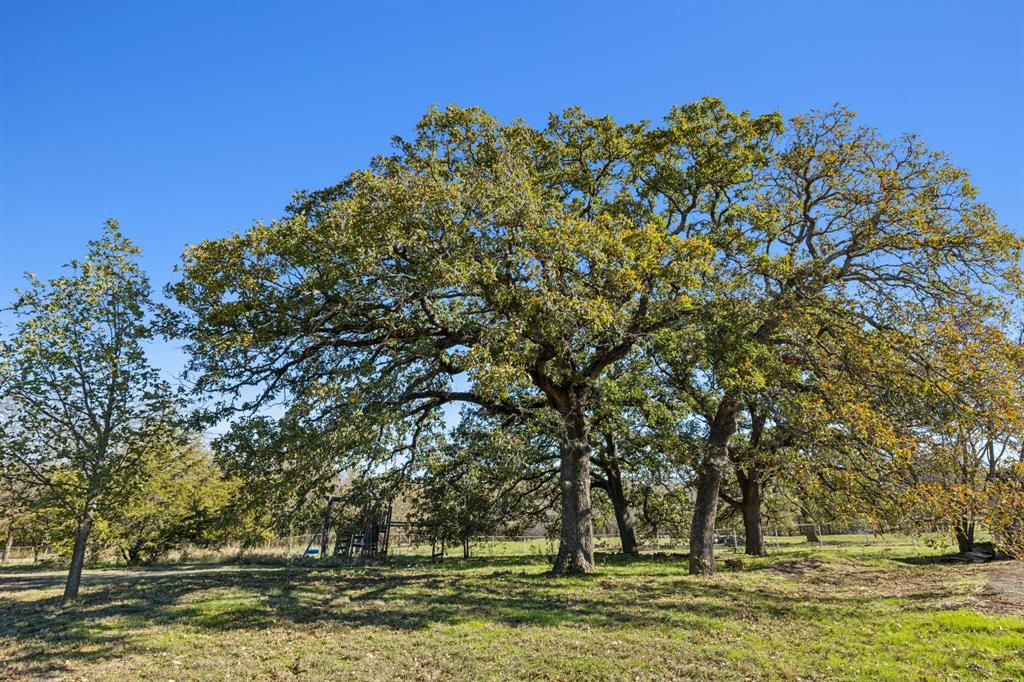 F Trevino - Residential