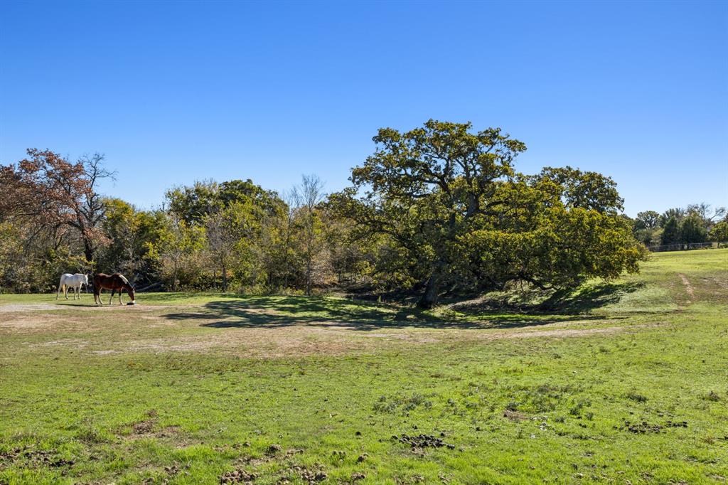 F Trevino - Residential