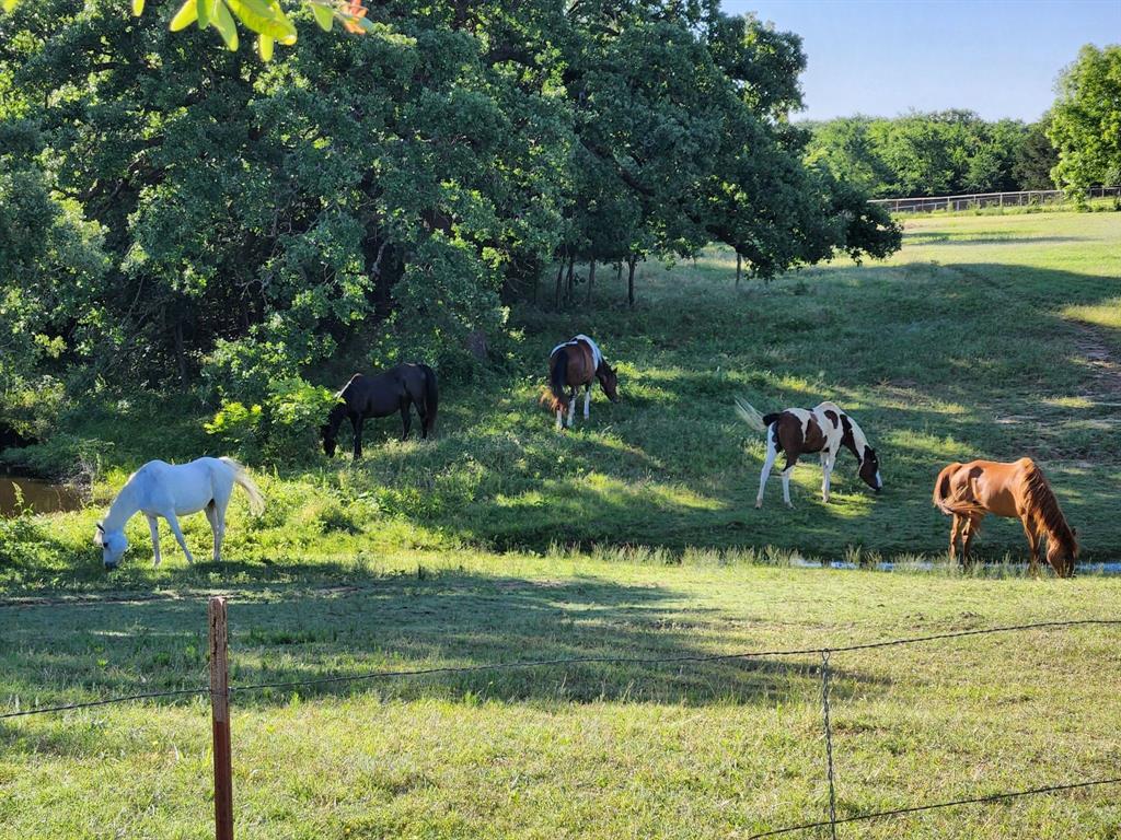 F Trevino - Residential