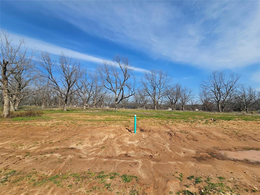 Pecan Plantation - Land
