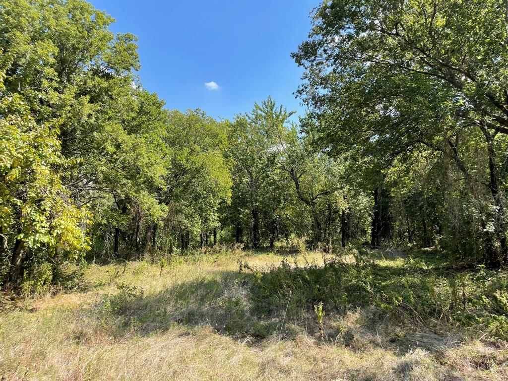 10832 County Road 1020