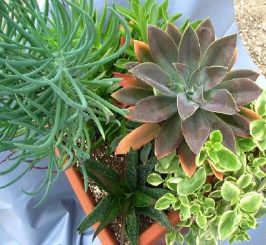 Garden Acres Sub - Residential