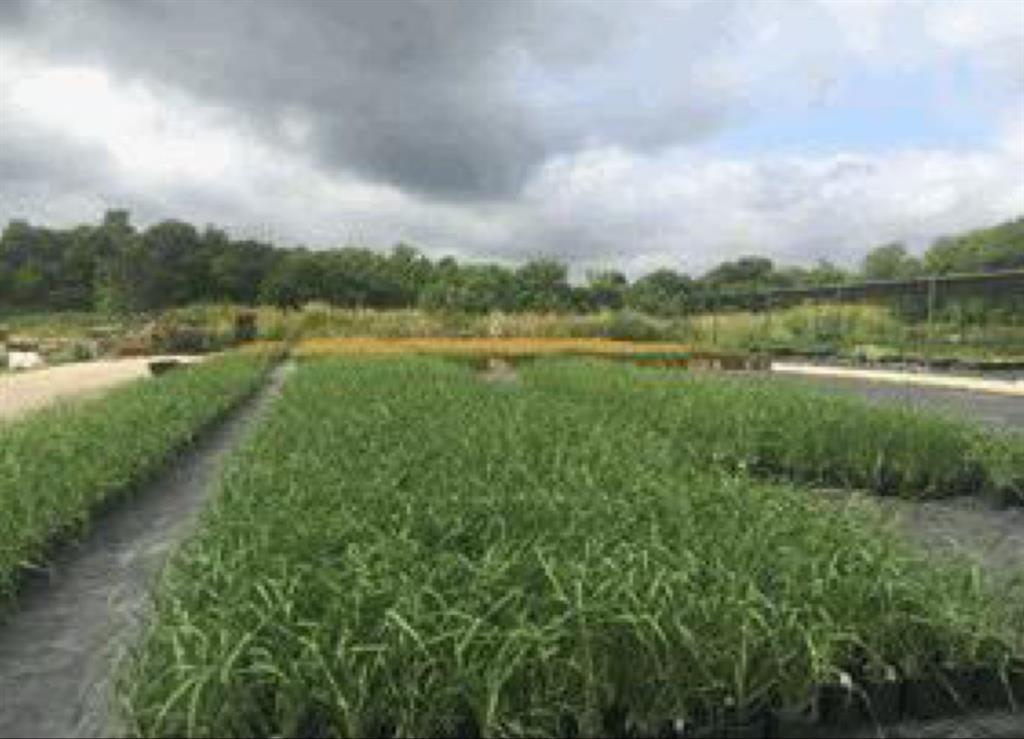 Garden Acres Sub - Residential