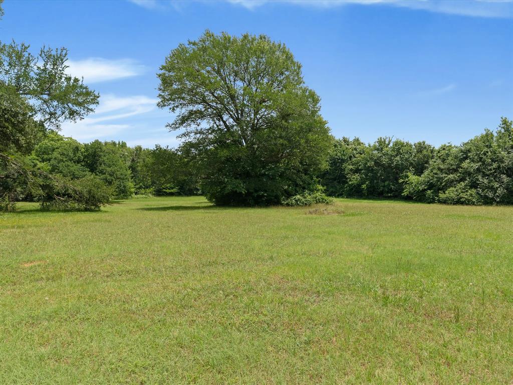 850 Newt Patterson Road