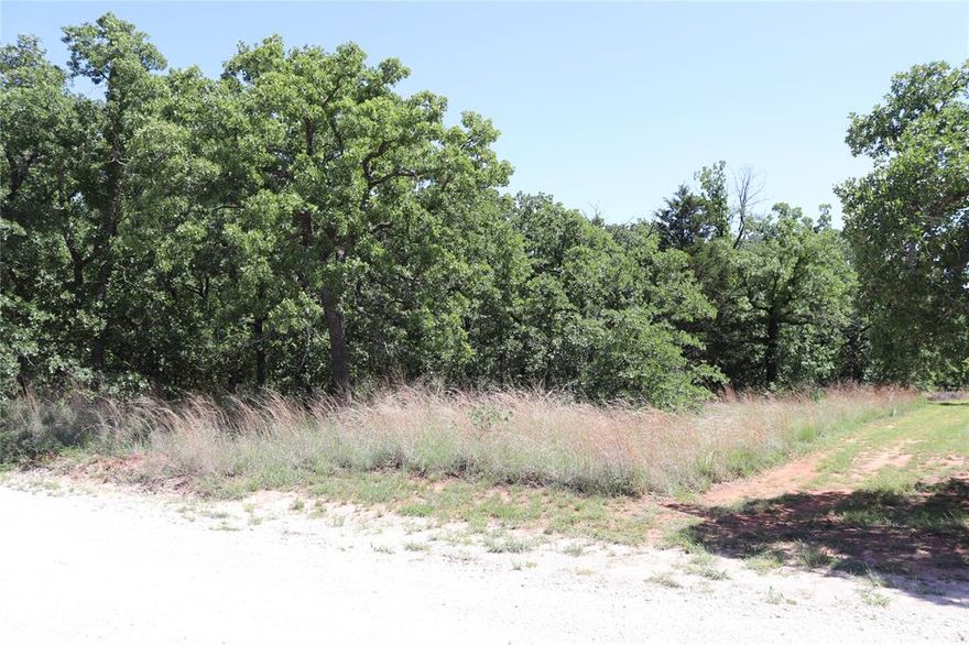Welcome to Nocona Hills! 2 Beautiful wooded lots! Perfect place for your dream home. Great location inside the gated, residential community on Lake Nocona. Water meter available so no need to drill a well. Fantastic amenities with an updated club house, grass runway for private planes, RV park and great fishing! Nocona Hills has its own 50-acre private fishing lake, an 18-hole golf course. Home Owners Association, and 24 hour manned security gate. Nocona ISD 2A school district. Just an hour and a half to DFW.