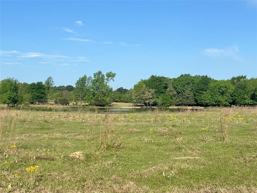 Approx 16.5 acres of beautiful pasture and a 2 acre pond! Located in Harts Bluff ISD! It's a stunner! Come see it!