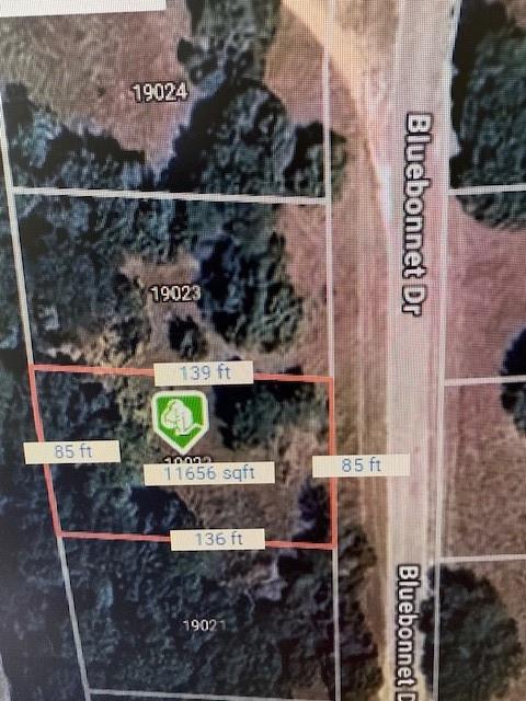 19022 Bluebonnet Drive