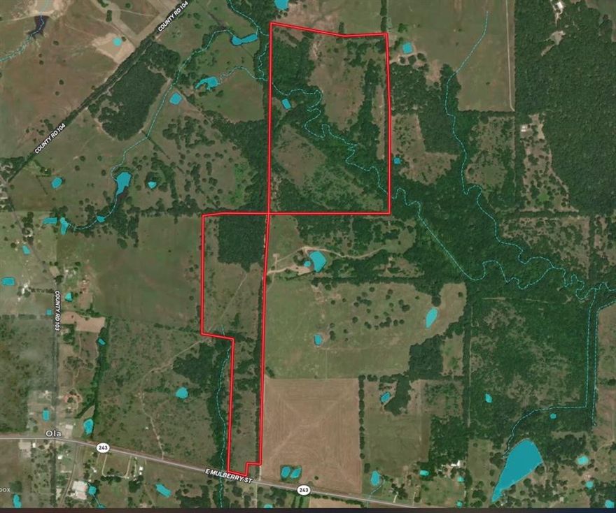 If you're looking for wide open space, and a starry sky, this property is perfect for you. It's 10 minutes from Kaufman and 20 minutes from Canton, in the community of Ola. The property boasts 128+-acres, a pond and a creek, with approximately 38 acres in the flood plain, and approximately 250 feet of road frontage on Hwy 243. Access to Hwy 175 is in Kaufman, and I-20 is a short 15 minute drive. If you're a sportsman, this is your heaven on earth, because it's ideal for hunting, fishing, and 4-wheeling. If you're looking for pastureland, it's perfect for that too, and it's a great place to build your dream home. This property is also Ag Exempt. Don't miss out on this prime piece of property, because a property like this one, won't last long. Call and schedule your showing today.