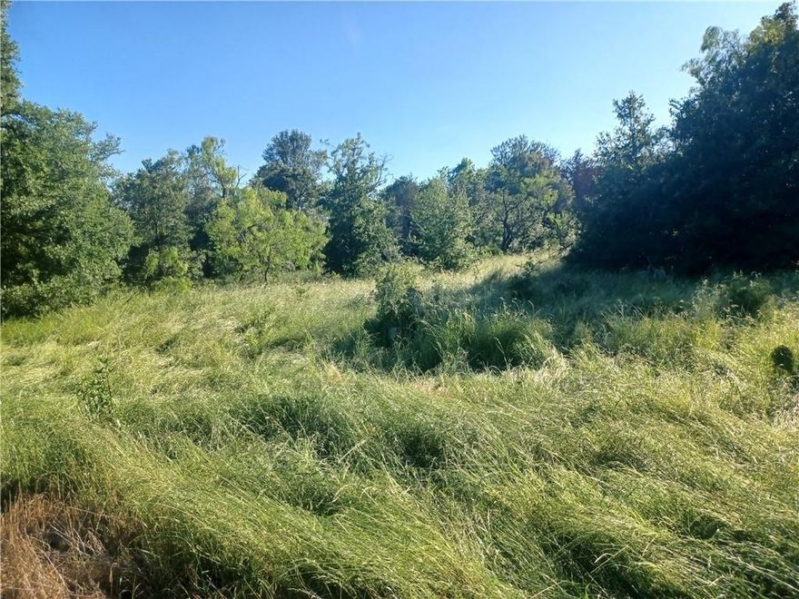 Discover the perfect blend of space, privacy, and natural beauty with this exceptional 6.707-acre tract located just outside Mexia, Texas. Nestled in a peaceful rural setting, this lightly wooded parcel offers a rare opportunity to build your dream home, weekend retreat, or investment property in the heart of Central Texas.