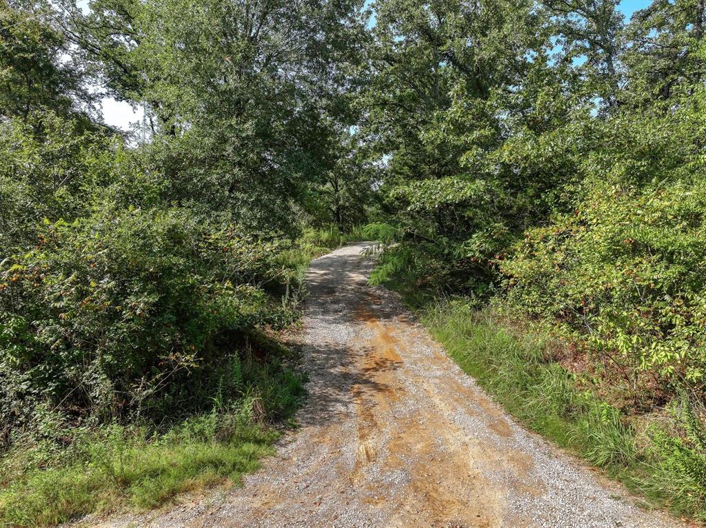 1807 Vz County Road 1925