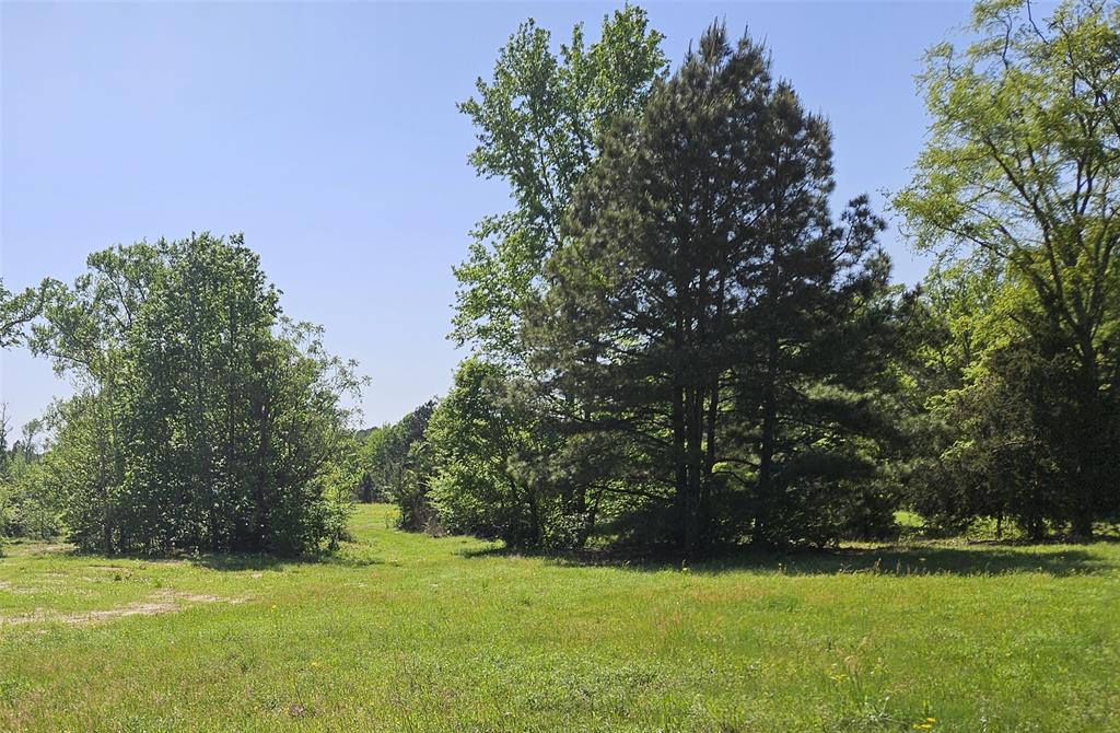 19020 TimberTrail Lot 2 FM 317