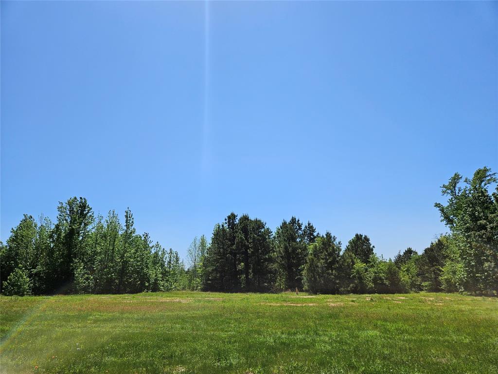 19020 TimberTrail Lot 2 FM 317
