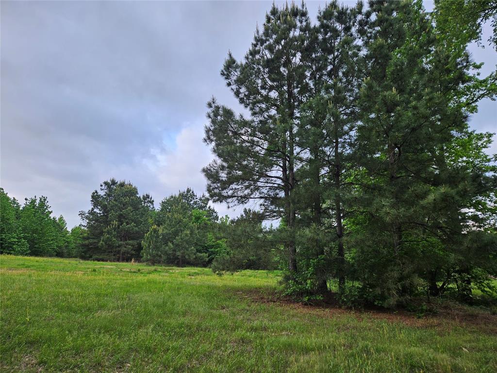 19020 TimberTrail Lot 2 FM 317