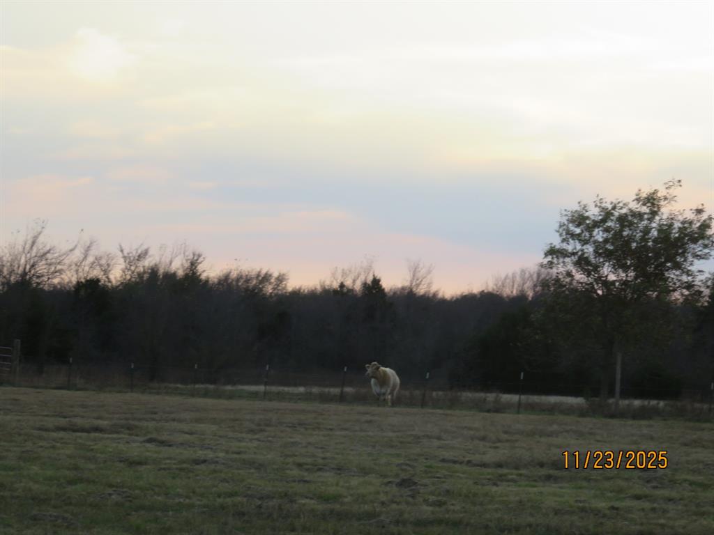 Quintano Francisco - Residential