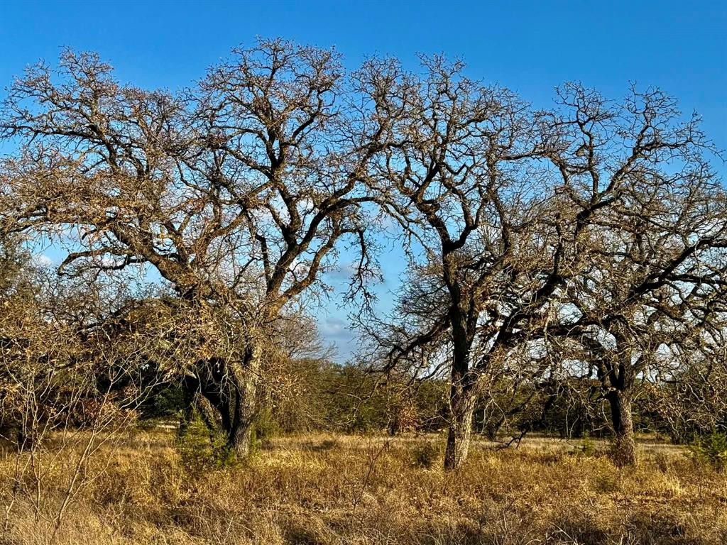 ABST A0321 GRIMES, JHN Acres:794.2500 - Farm