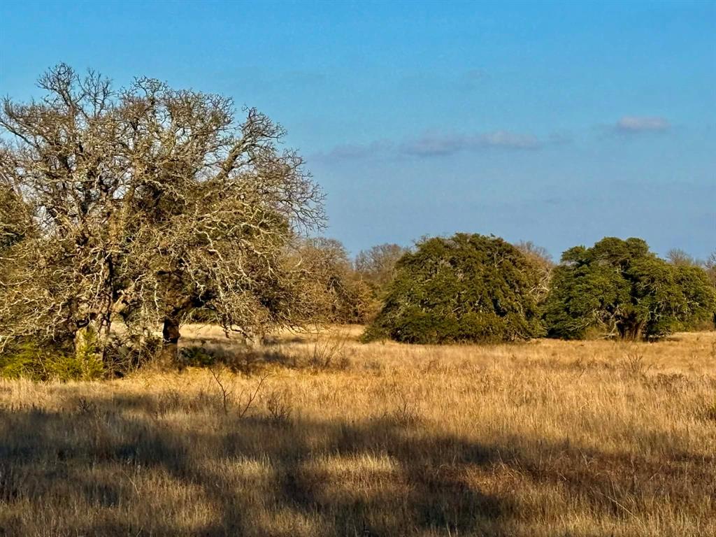 ABST A0321 GRIMES, JHN Acres:794.2500 - Farm