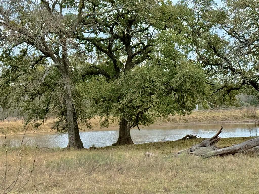 ABST A0321 GRIMES, JHN Acres:794.2500 - Farm