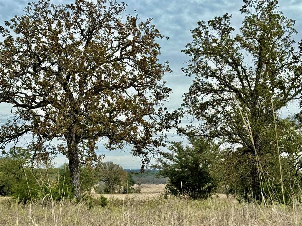 ABST A0321 GRIMES, JHN Acres:794.2500 - Farm