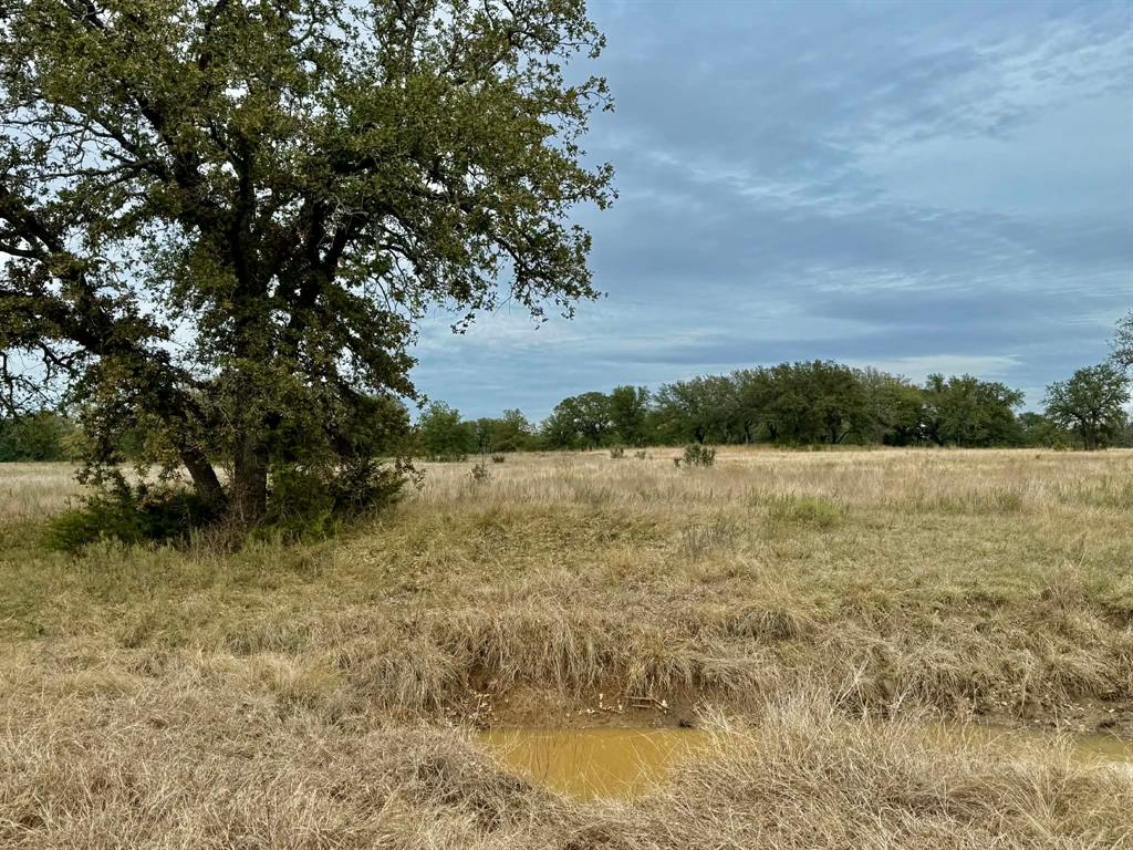 ABST A0321 GRIMES, JHN Acres:794.2500 - Farm