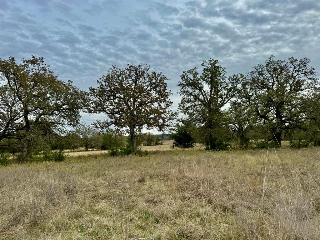 ABST A0321 GRIMES, JHN Acres:794.2500 - Farm