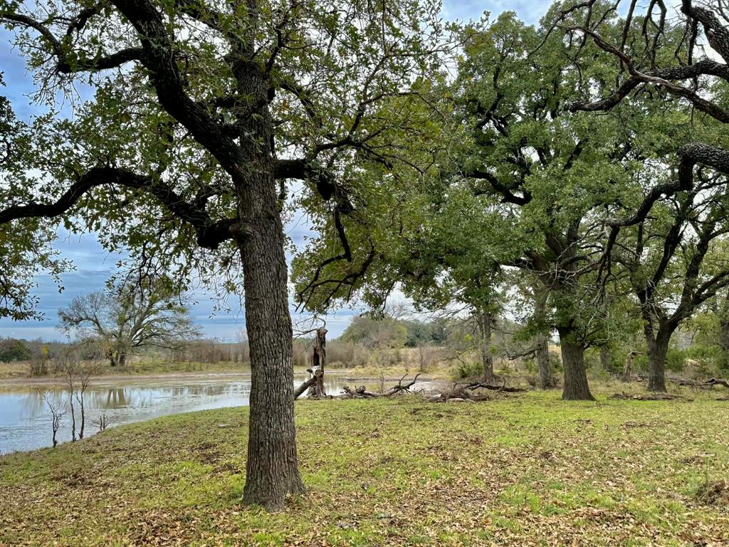 ABST A0321 GRIMES, JHN Acres:794.2500 - Farm