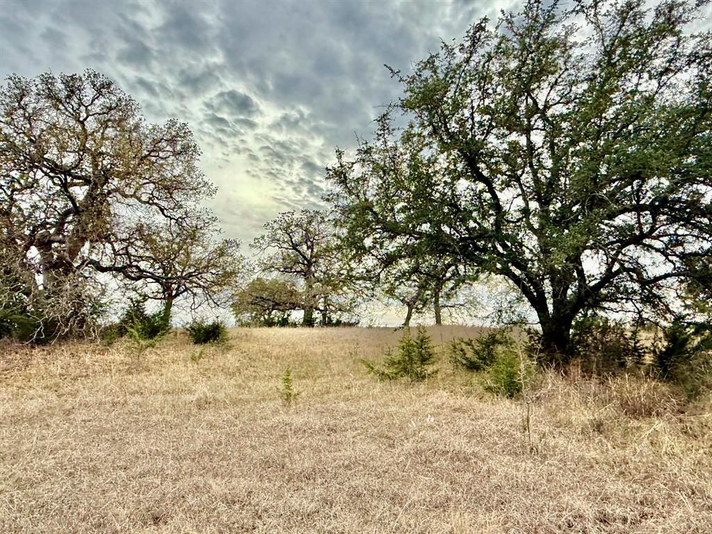 ABST A0321 GRIMES, JHN Acres:794.2500 - Farm