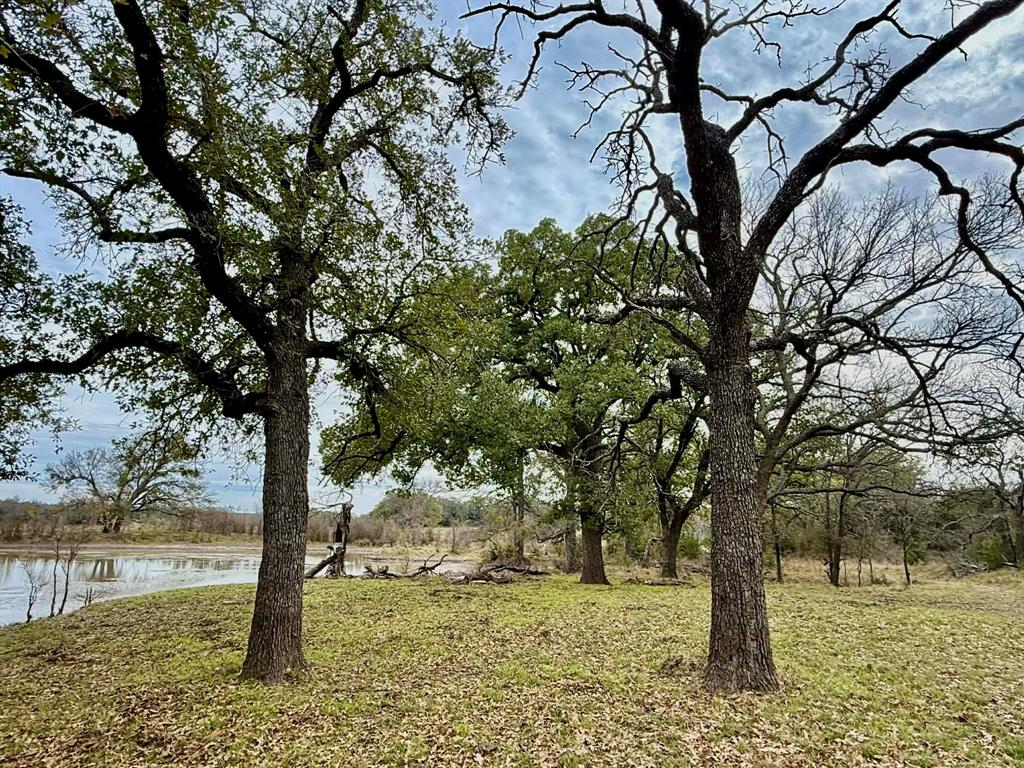 ABST A0321 GRIMES, JHN Acres:794.2500 - Farm