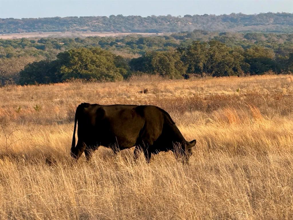 ABST A0321 GRIMES, JHN Acres:794.2500 - Farm