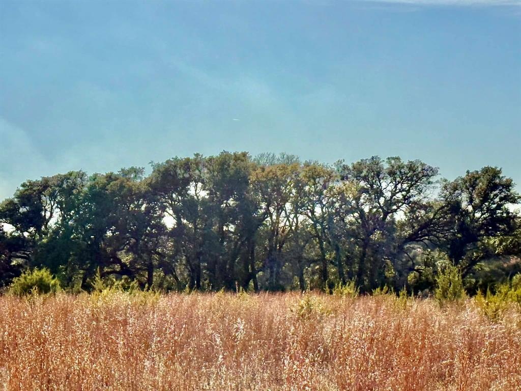 ABST A0321 GRIMES, JHN Acres:794.2500 - Farm