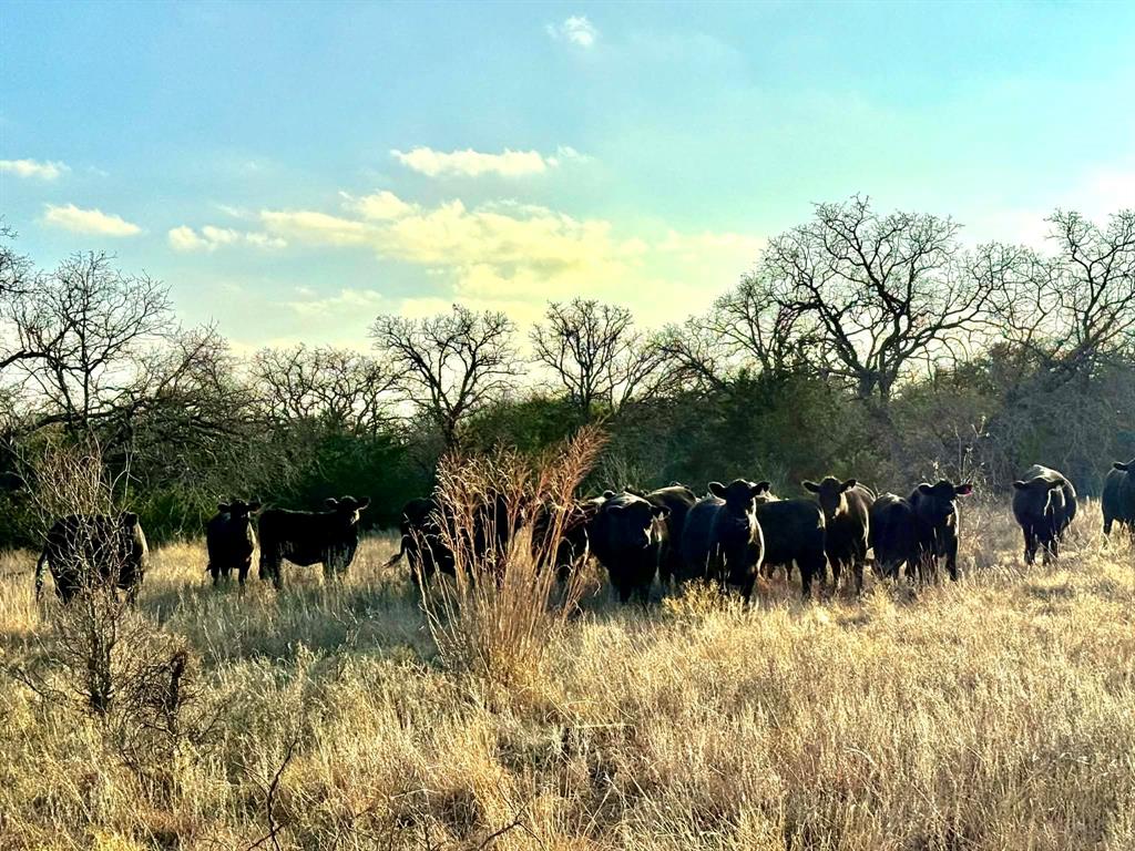 ABST A0321 GRIMES, JHN Acres:794.2500 - Farm