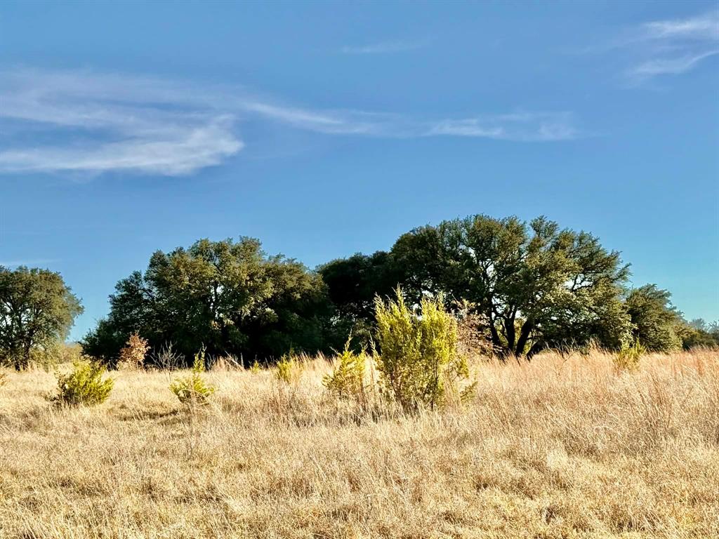 ABST A0321 GRIMES, JHN Acres:794.2500 - Farm