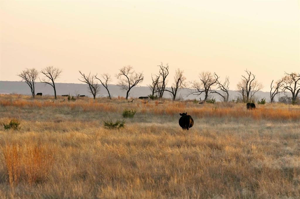 ABST A0321 GRIMES, JHN Acres:794.2500 - Farm