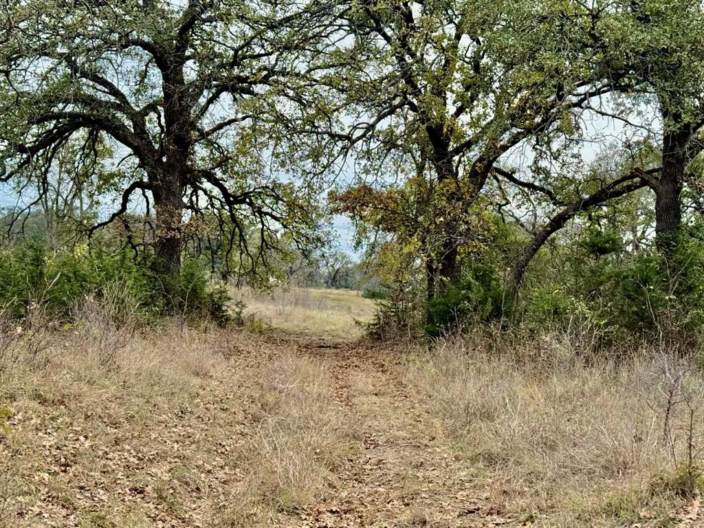 ABST A0321 GRIMES, JHN Acres:794.2500 - Farm