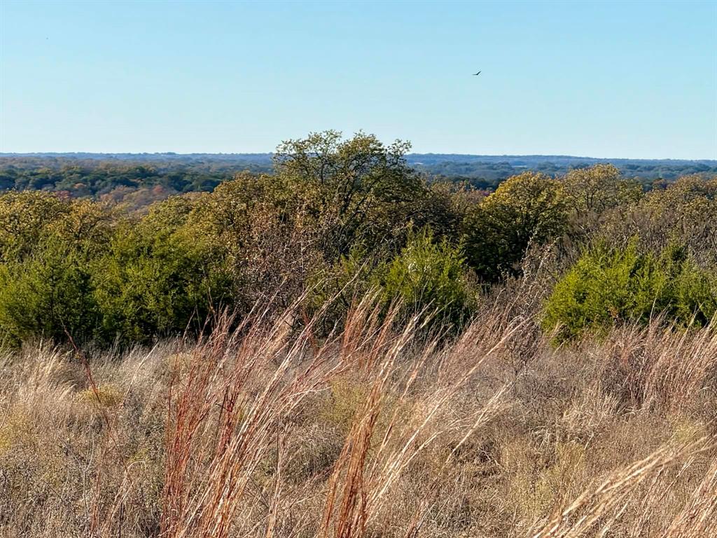 ABST A0321 GRIMES, JHN Acres:794.2500 - Farm