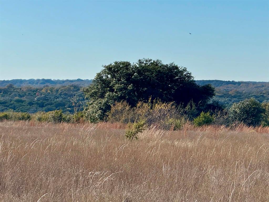 ABST A0321 GRIMES, JHN Acres:794.2500 - Farm