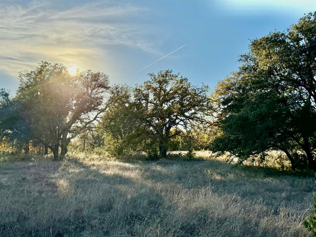 ABST A0321 GRIMES, JHN Acres:794.2500 - Farm