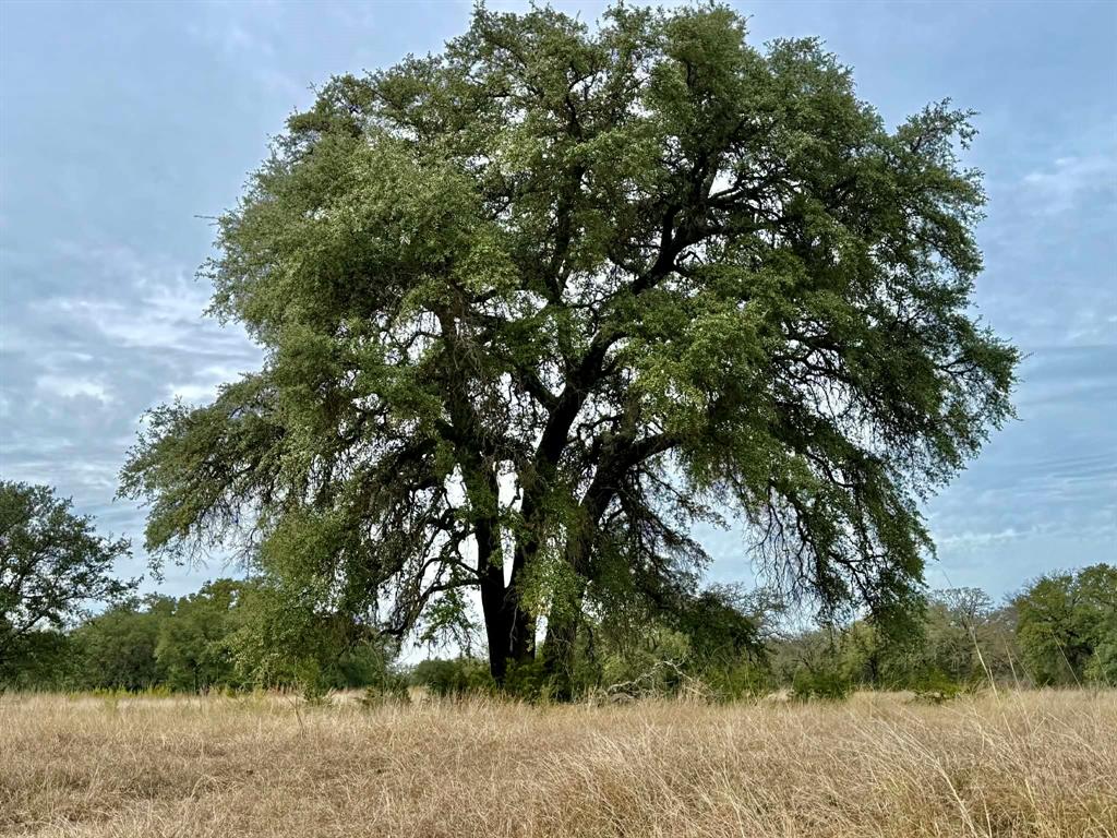 ABST A0321 GRIMES, JHN Acres:794.2500 - Farm