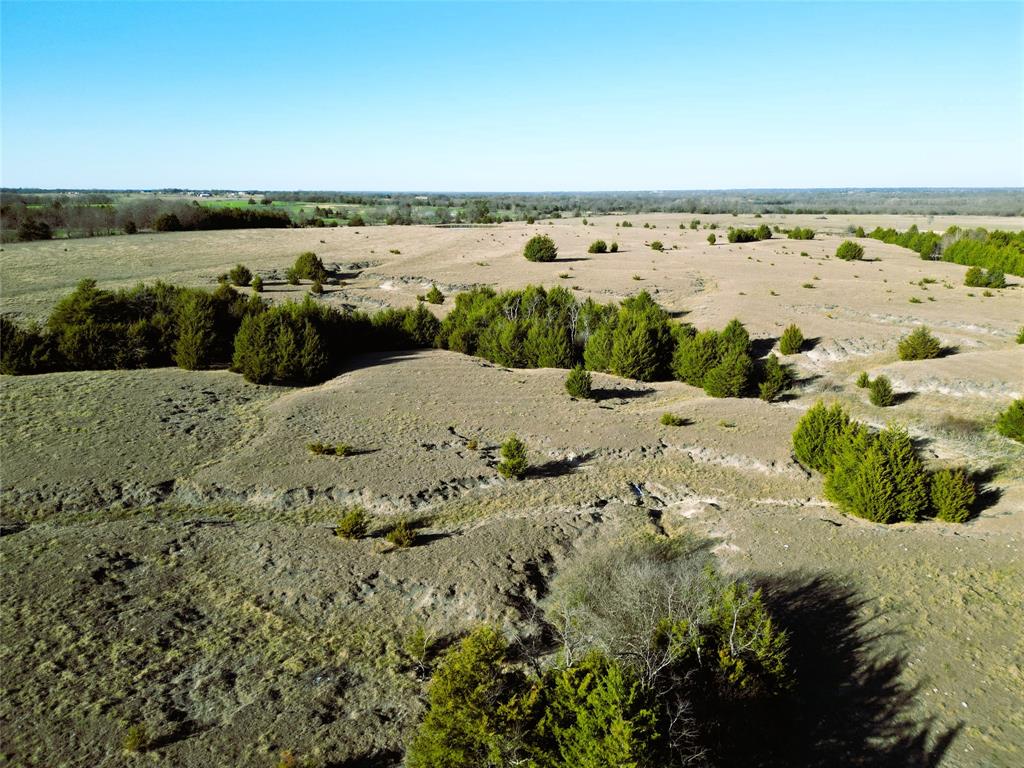 Martin H Ragsdale - Farm