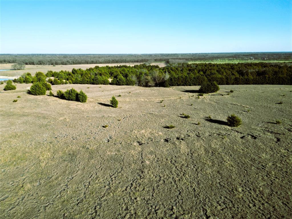 Martin H Ragsdale - Farm