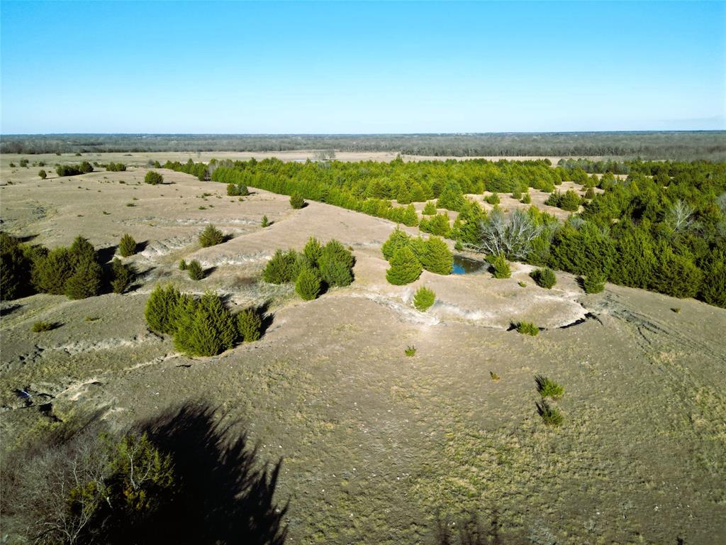 Martin H Ragsdale - Farm