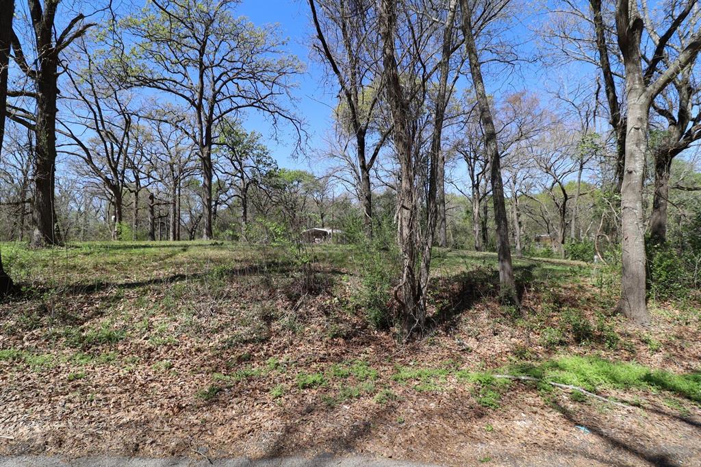 Sandy Shores Instl 1 - Land