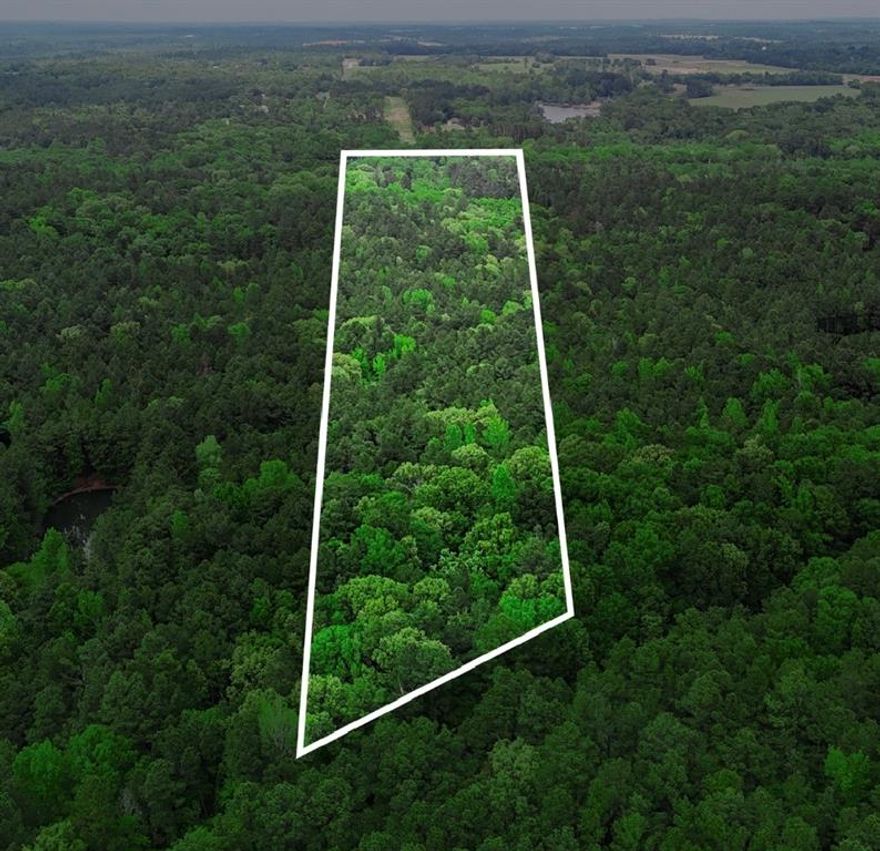 Welcome to this 10-acre tract located just outside of Tyler, providing a strong balance of privacy and convenience. Located approximately 20 minutes from Tyler and only 5 minutes from Lake Palestine, the property provides easy access to nearby amenities while maintaining a quiet, rural setting.
The land features a well-shaped layout that lends itself nicely to a future homesite, with multiple mature trees throughout adding both character and natural shade. A creek runs through the property, enhancing the overall setting and providing an added feature that is not often found. Water and electricity are available nearby, helping streamline the building process when the time comes. Whether you're looking to build, invest, or secure a recreational property, this tract provides a great opportunity in a desirable area.