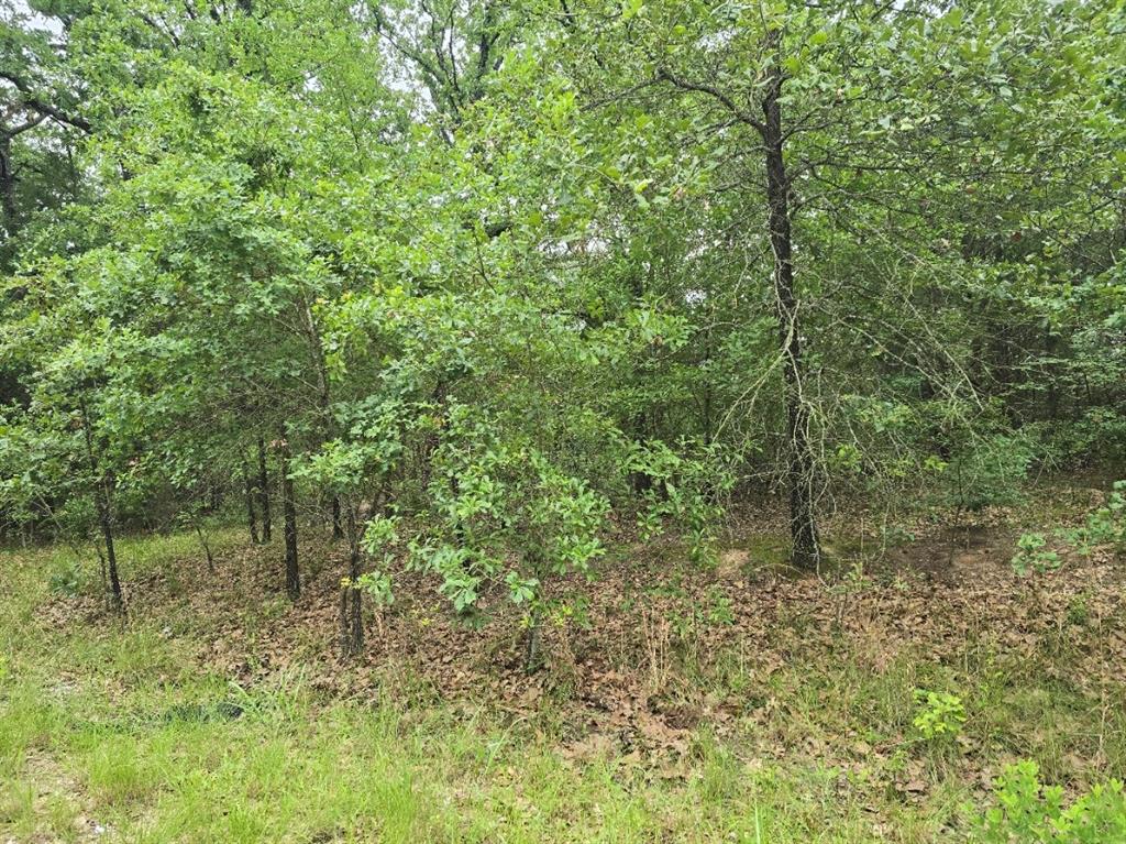 Cherokee Shores Sec C - Land