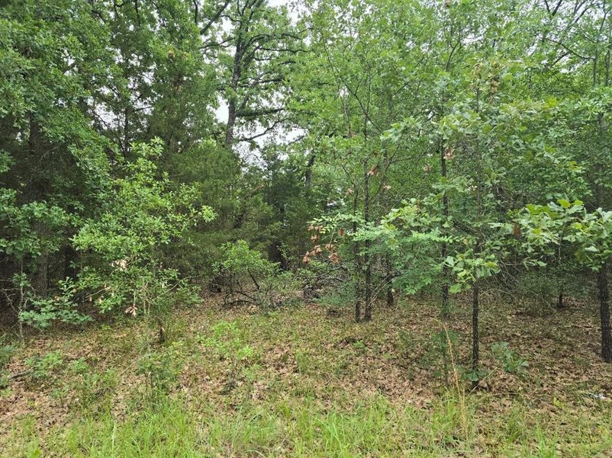 Single lot in Cherokee Shores. Mobile homes and tiny homes welcome or bring your builder and create your dream residence. Cherokee Shores is one of the largest subdivisions at the lake and offers many amenities, including tennis courts, a walking trail, a playground, multiple boat ramps for lake access, and a swimming pool.