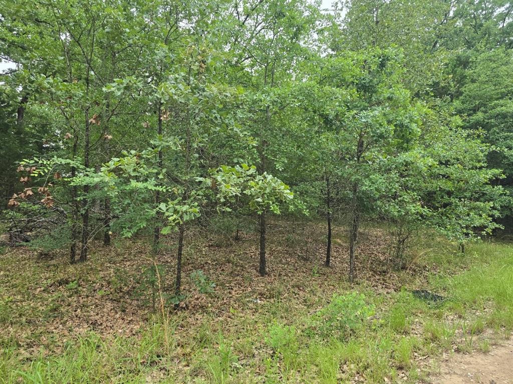 Cherokee Shores Sec C - Land
