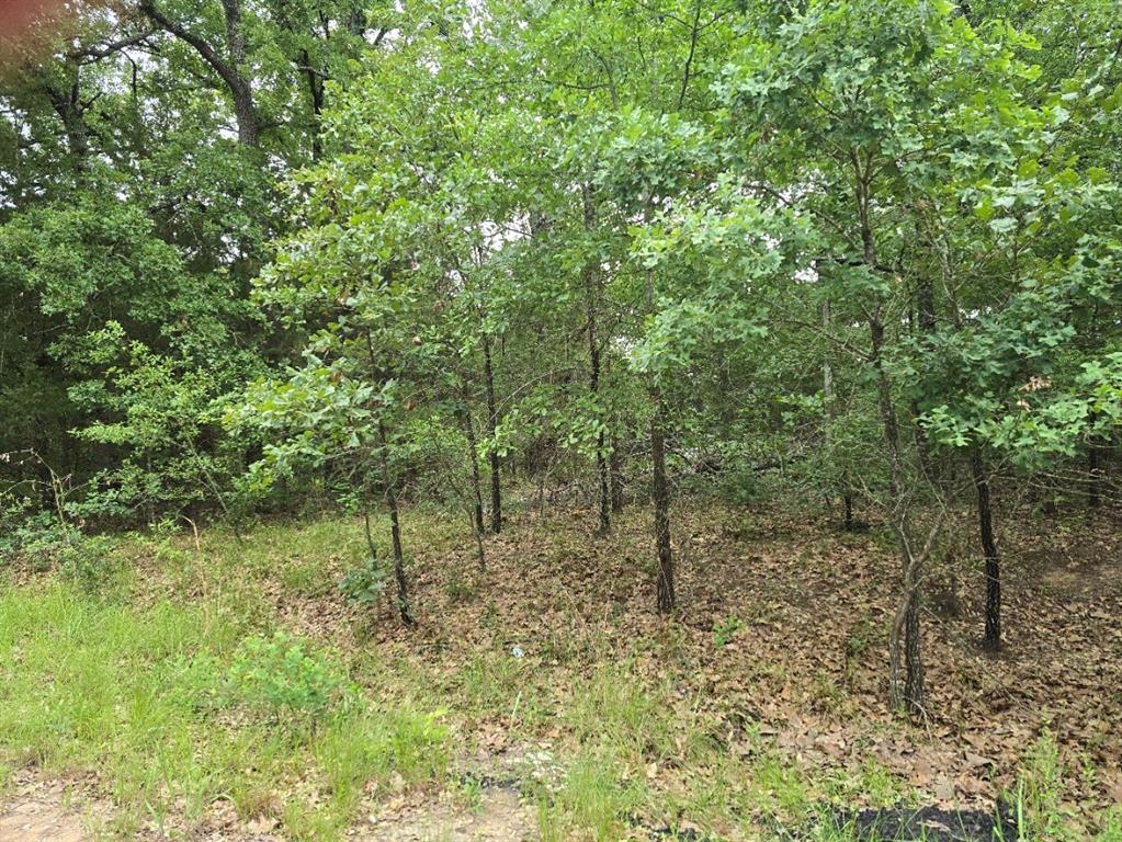 Cherokee Shores Sec C - Land