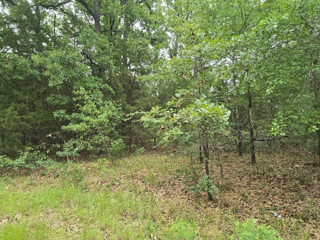 Cherokee Shores Sec C - Land